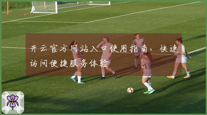 开云官方网站入口使用指南，快速访问便捷服务体验