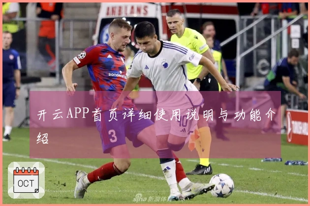 开云APP首页详细使用说明与功能介绍